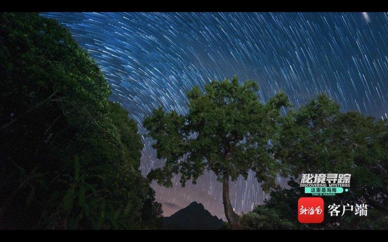 极品飞车ONLINE