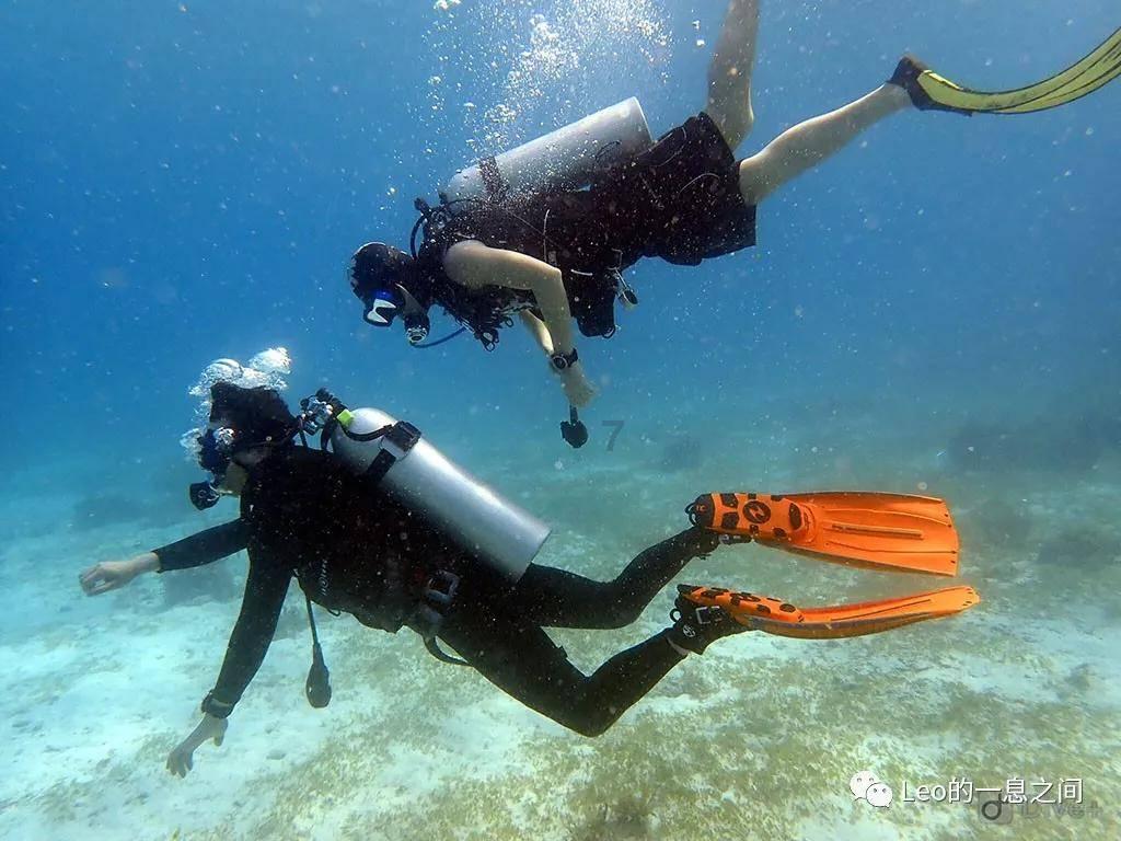 美债收益率多数上涨，2年期美债收益率涨5.1个基点