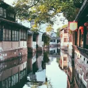 僵尸跳跳跳